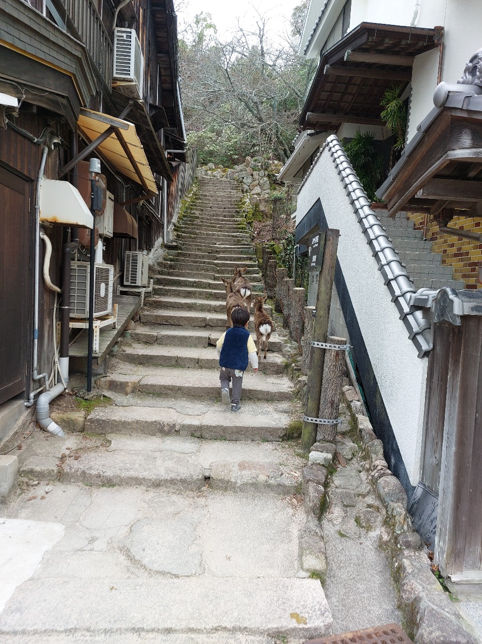 f:id:pyokomoke:20260325102006j:image f:id:pyokomoke:20260325102006j:image