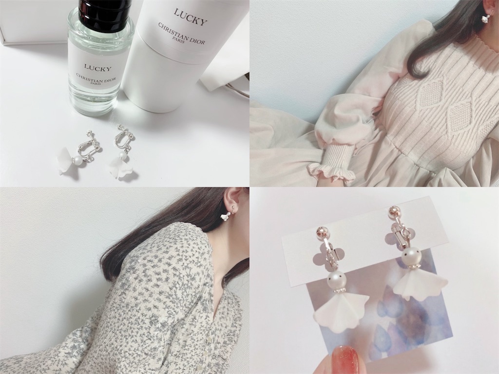 f:id:pyon03:20210119174206j:image