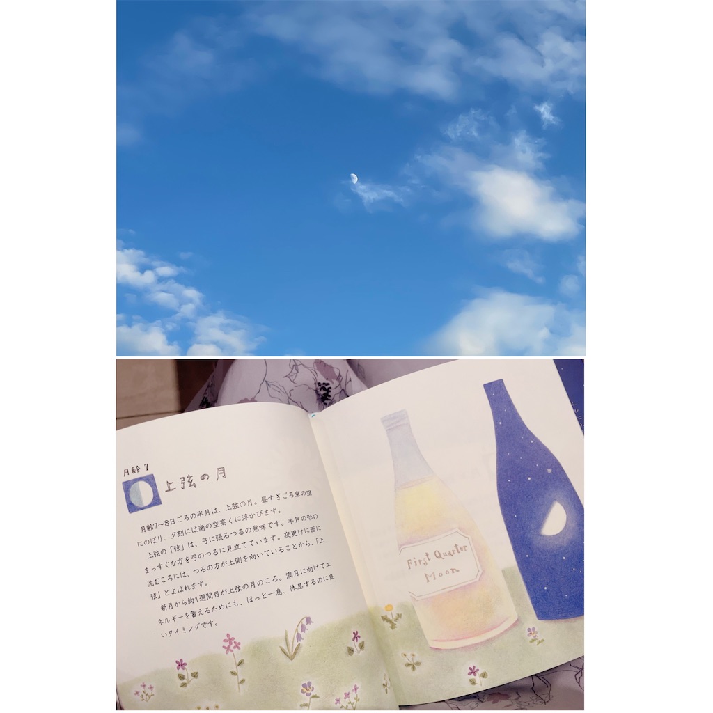 f:id:pyon03:20211220084600j:plain