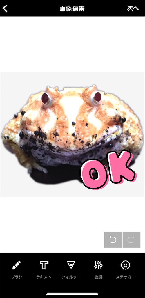 f:id:pyon0828:20210920112706j:image f:id:pyon0828:20210920112706j:image