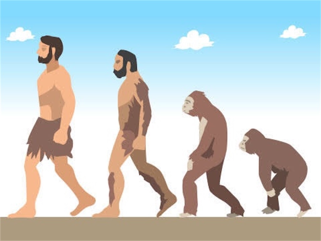 f:id:pyon0828:20211027001035j:image