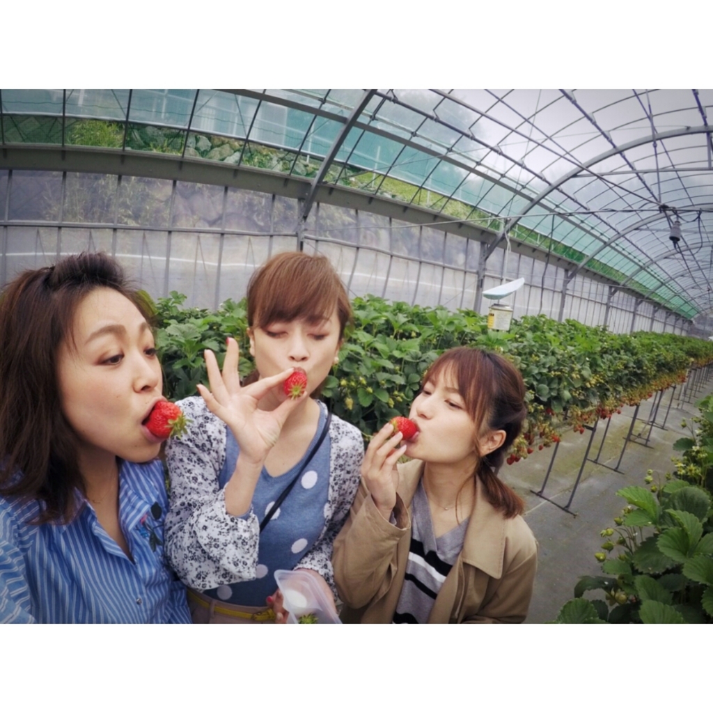 f:id:pyon2shuwattch:20170426082939j:plain f:id:pyon2shuwattch:20170426082939j:plain
