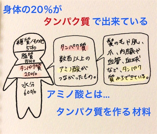 f:id:pyonkitins:20191006022228j:image