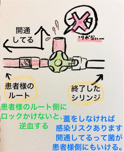 f:id:pyonkitins:20191008054252j:image