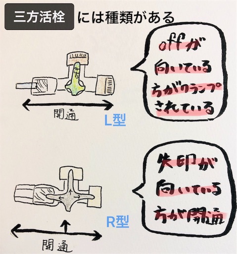f:id:pyonkitins:20191008060142j:image