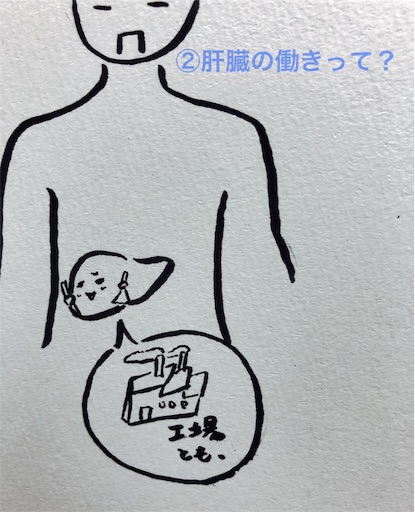 f:id:pyonkitins:20191021043307j:image