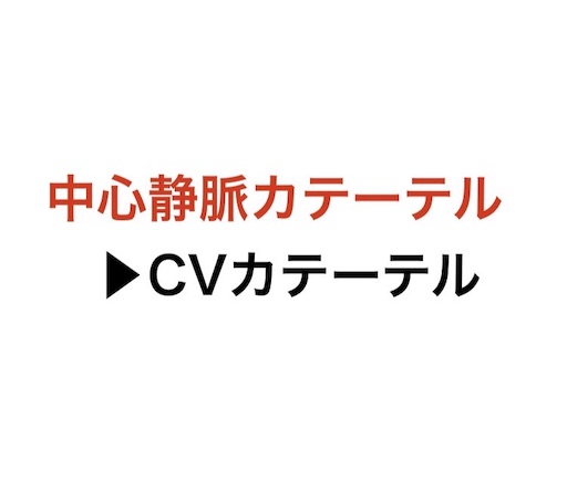 f:id:pyonkitins:20191027194808j:image