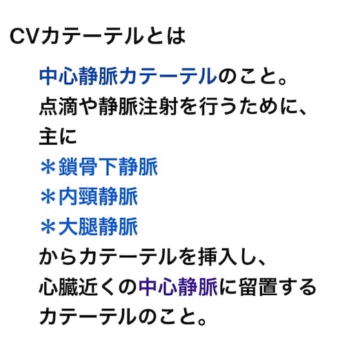 f:id:pyonkitins:20191031184234j:image