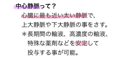 f:id:pyonkitins:20191031184718j:image