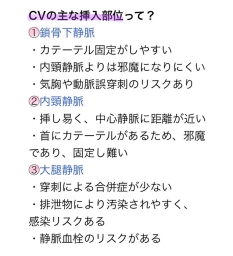 f:id:pyonkitins:20191031210633j:image