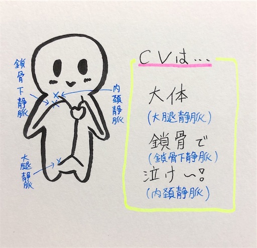 f:id:pyonkitins:20191031212039j:image