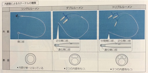 f:id:pyonkitins:20191031213557j:image