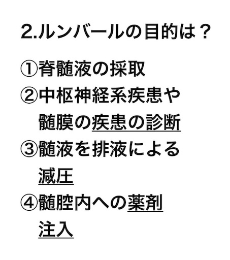 f:id:pyonkitins:20191111122048j:image