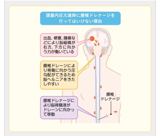 f:id:pyonkitins:20191112134359j:image