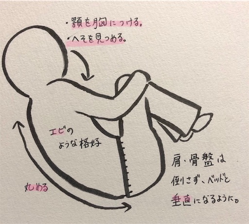 f:id:pyonkitins:20191112134755j:image