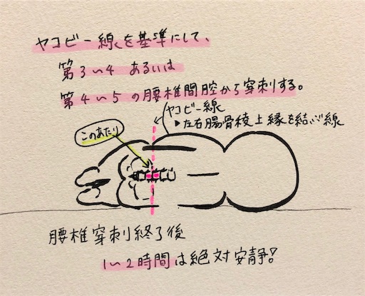 f:id:pyonkitins:20191112135200j:image