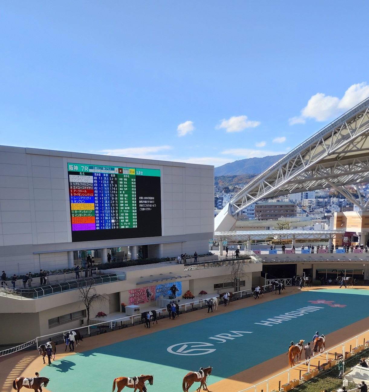 f:id:pyonkospica:20251220191342j:image