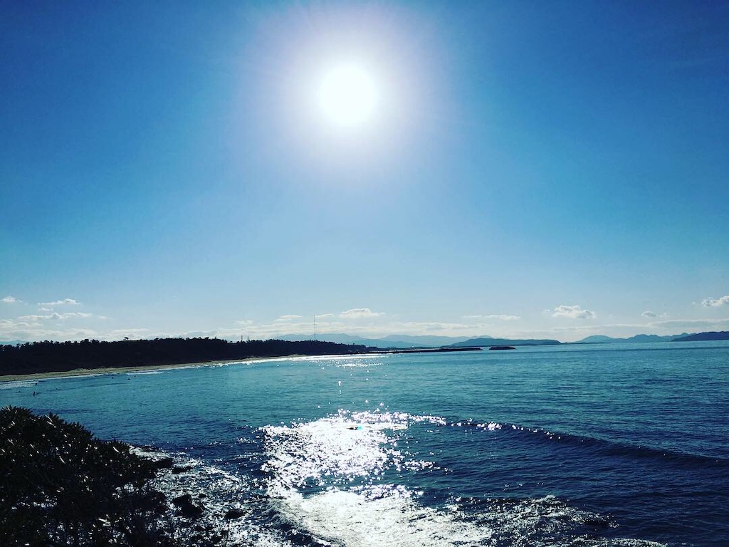f:id:pyonpyonpyon358358:20181216135108j:image f:id:pyonpyonpyon358358:20181216135108j:image