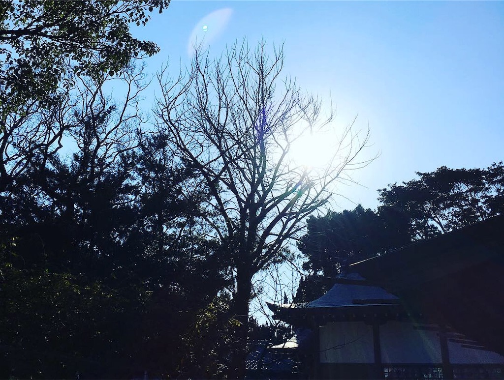 f:id:pyonpyonpyon358358:20181216135112j:image f:id:pyonpyonpyon358358:20181216135112j:image