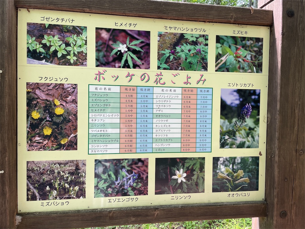 f:id:pyonpyonudon:20210828214540j:image f:id:pyonpyonudon:20210828214540j:image