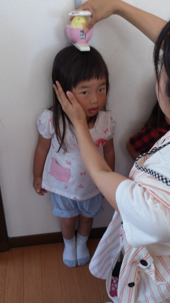 f:id:pyontaland:20180522141458j:plain f:id:pyontaland:20180522141458j:plain