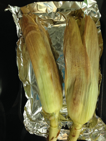 f:id:pyopyopyon:20140810103414j:plain f:id:pyopyopyon:20140810103414j:plain