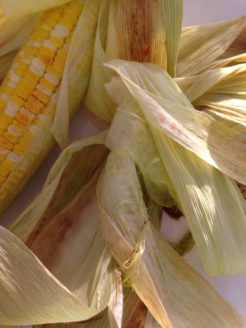 f:id:pyopyopyon:20140810103641j:plain f:id:pyopyopyon:20140810103641j:plain