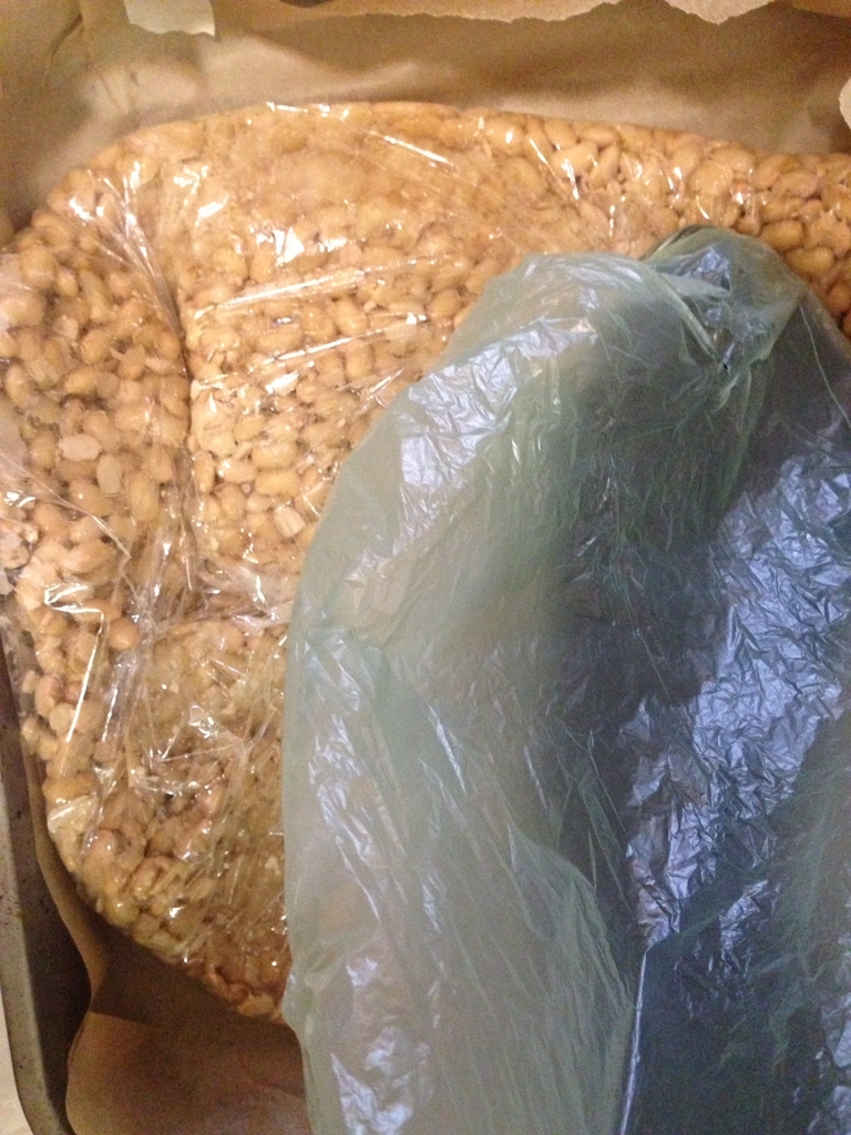 f:id:pyopyopyon:20181231065307j:plain f:id:pyopyopyon:20181231065307j:plain