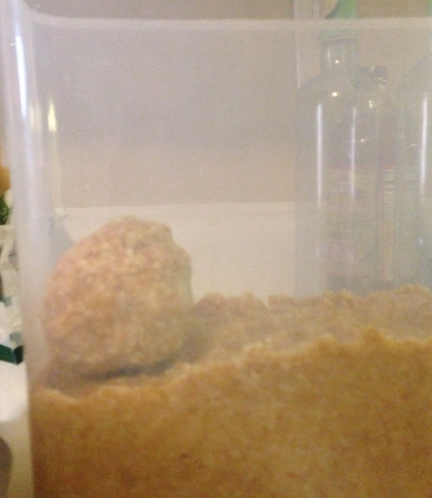 f:id:pyopyopyon:20181231070446j:plain f:id:pyopyopyon:20181231070446j:plain