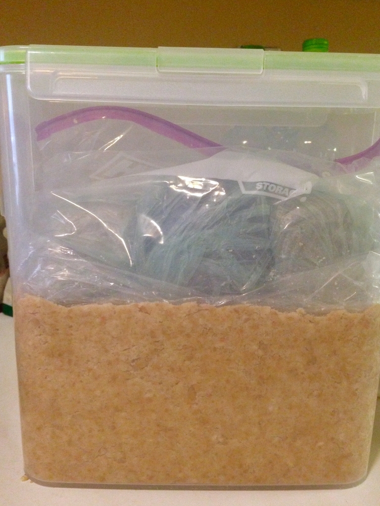 f:id:pyopyopyon:20181231070527j:plain f:id:pyopyopyon:20181231070527j:plain