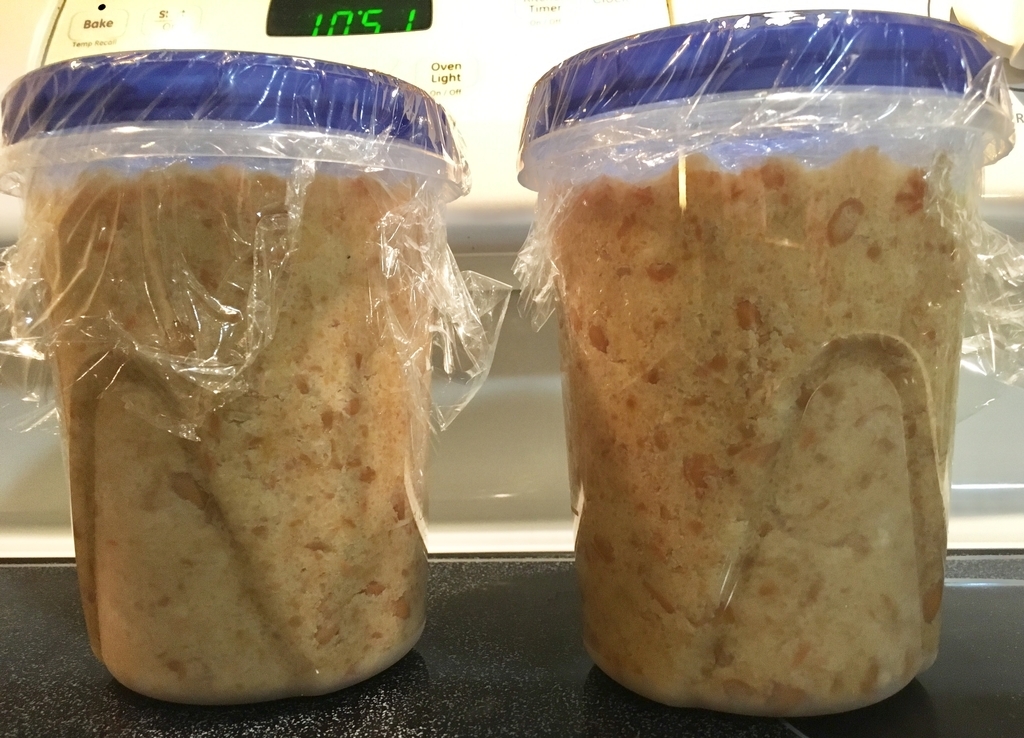 f:id:pyopyopyon:20190204014543j:plain f:id:pyopyopyon:20190204014543j:plain