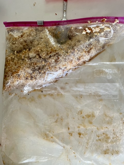 f:id:pyopyopyon:20211121110809j:plain