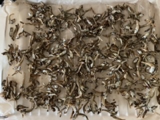 f:id:pyopyopyon:20220102091435j:plain