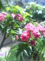 20080428125353