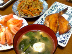 f:id:pyori:20100625231742j:image