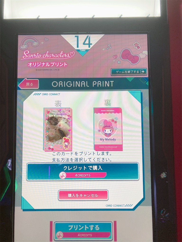 自分だけのカードが作れる「カードコネクト」にサンリオ