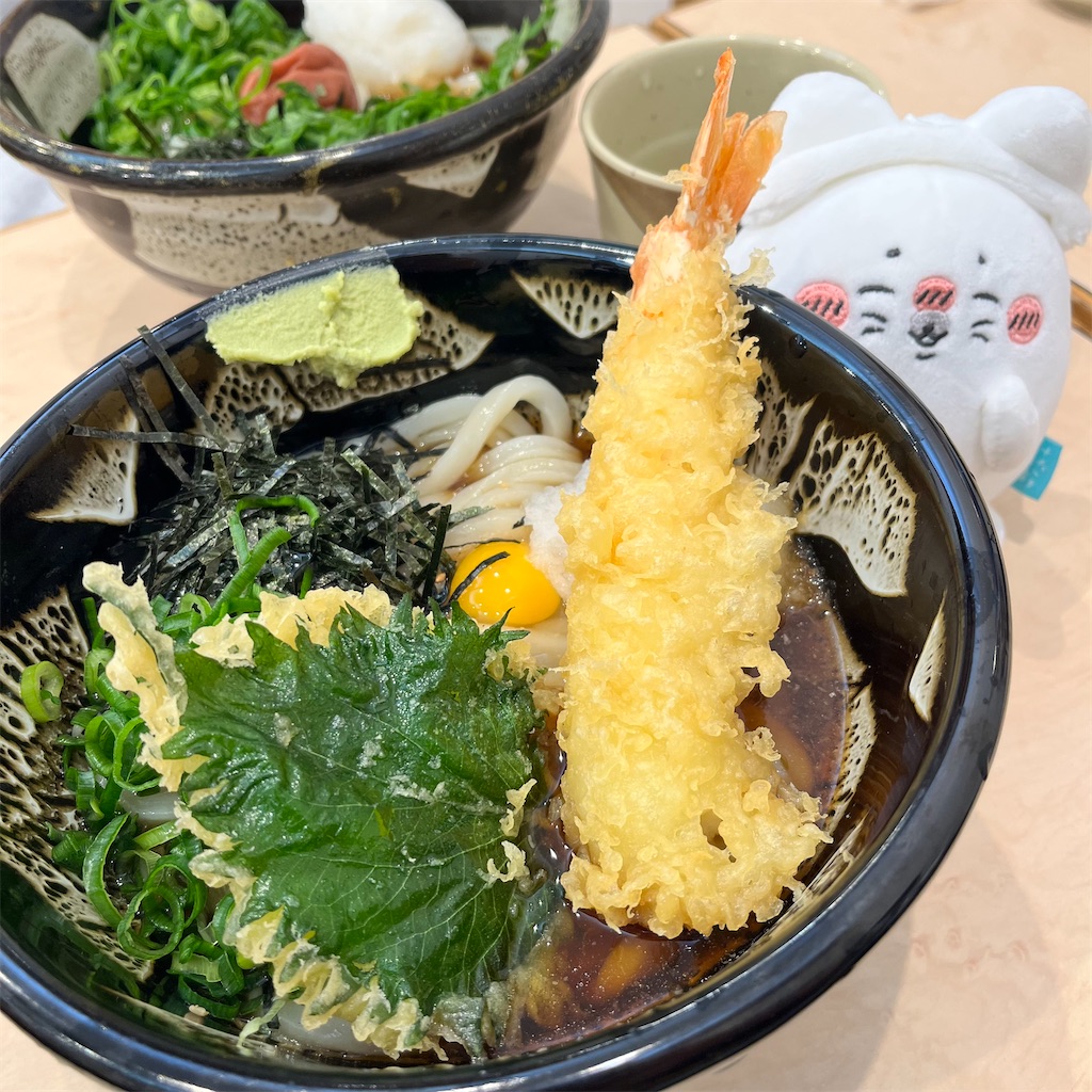 f:id:pyota:20250507112411j:image