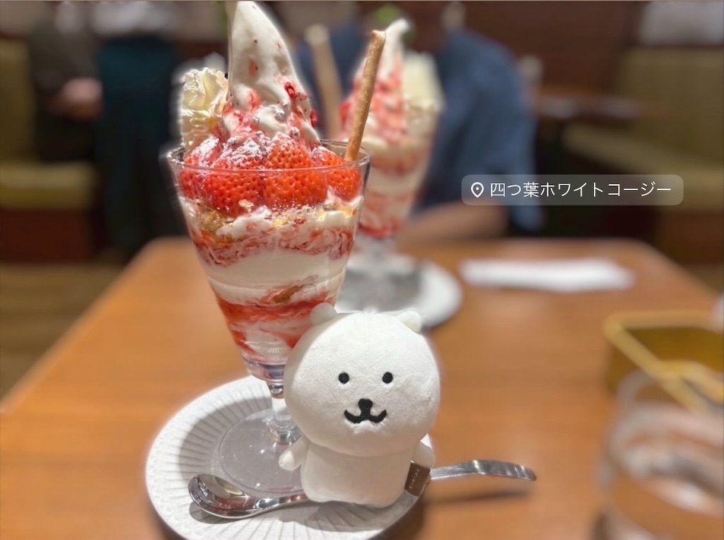 f:id:pyota:20250825081700j:image