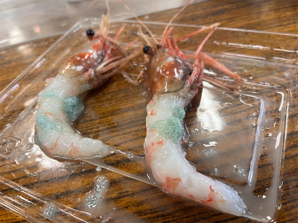 f:id:pyota:20250827082038j:image