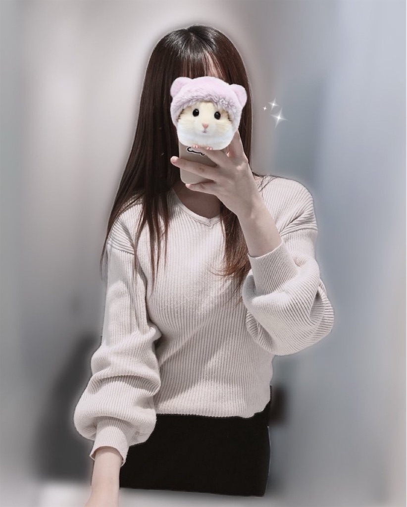 断捨離記録 #1 ｜ ノーブランドの服を売った - たぬまるログ！