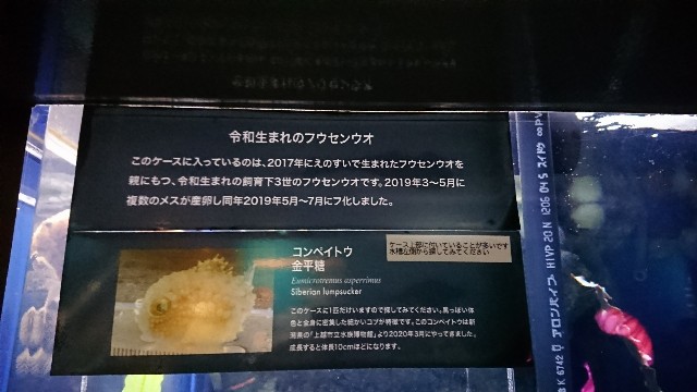 f:id:pyrorin:20200623204103j:image f:id:pyrorin:20200623204103j:image