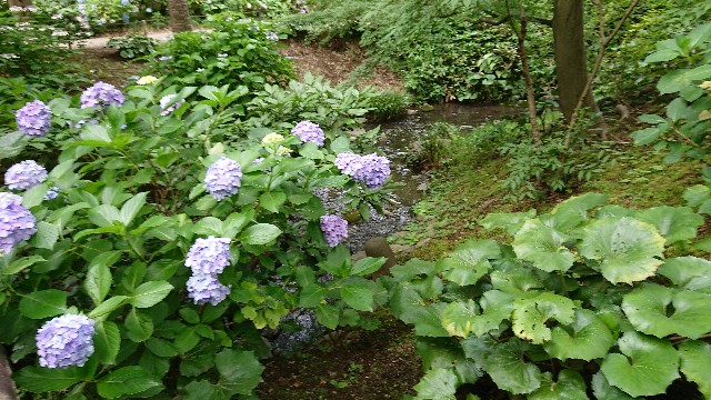 f:id:pyrorin:20200628201118j:image f:id:pyrorin:20200628201118j:image