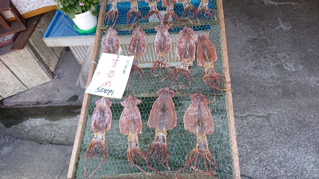 f:id:pyrorin:20200629184727j:image f:id:pyrorin:20200629184727j:image