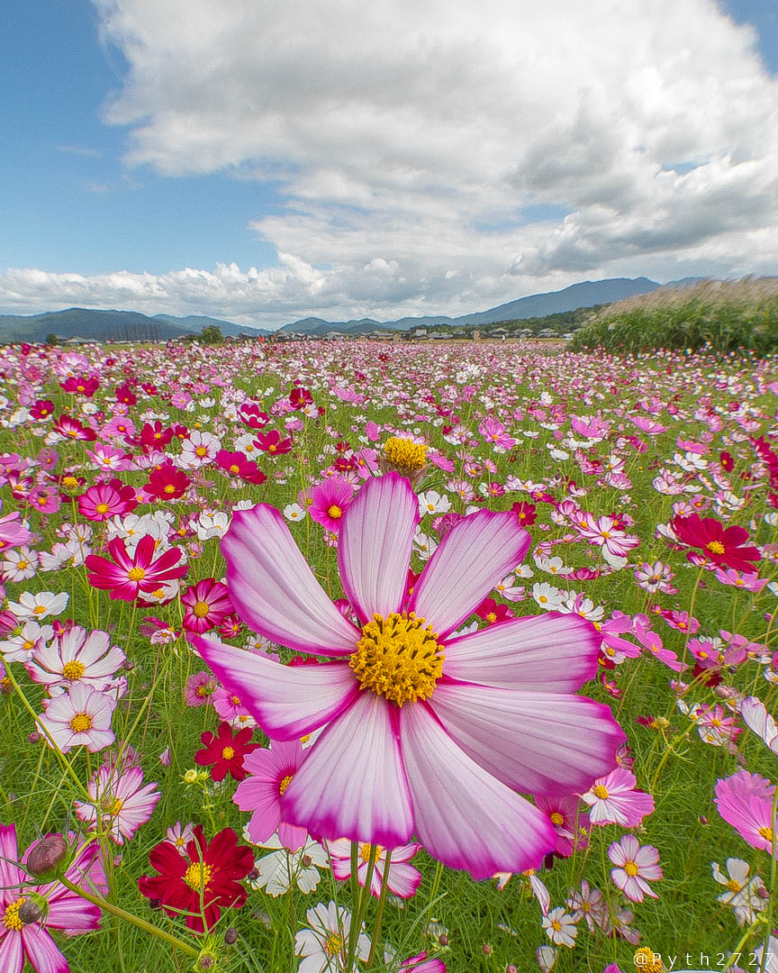 f:id:pyth2727:20191006211536j:plain f:id:pyth2727:20191006211536j:plain