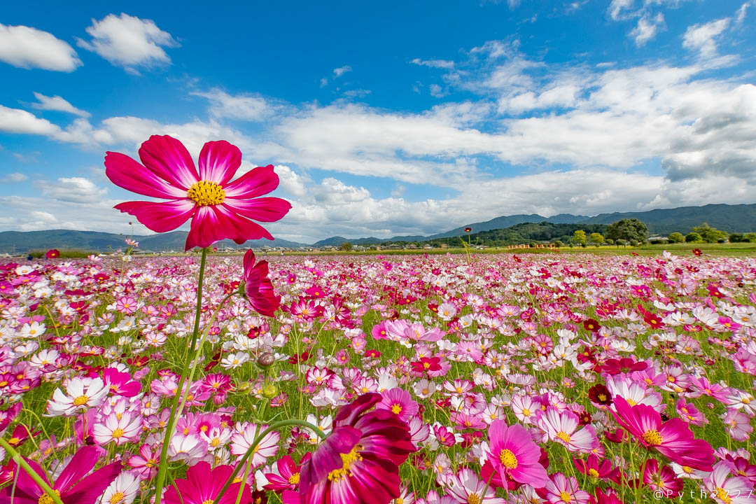 f:id:pyth2727:20191006211615j:plain f:id:pyth2727:20191006211615j:plain