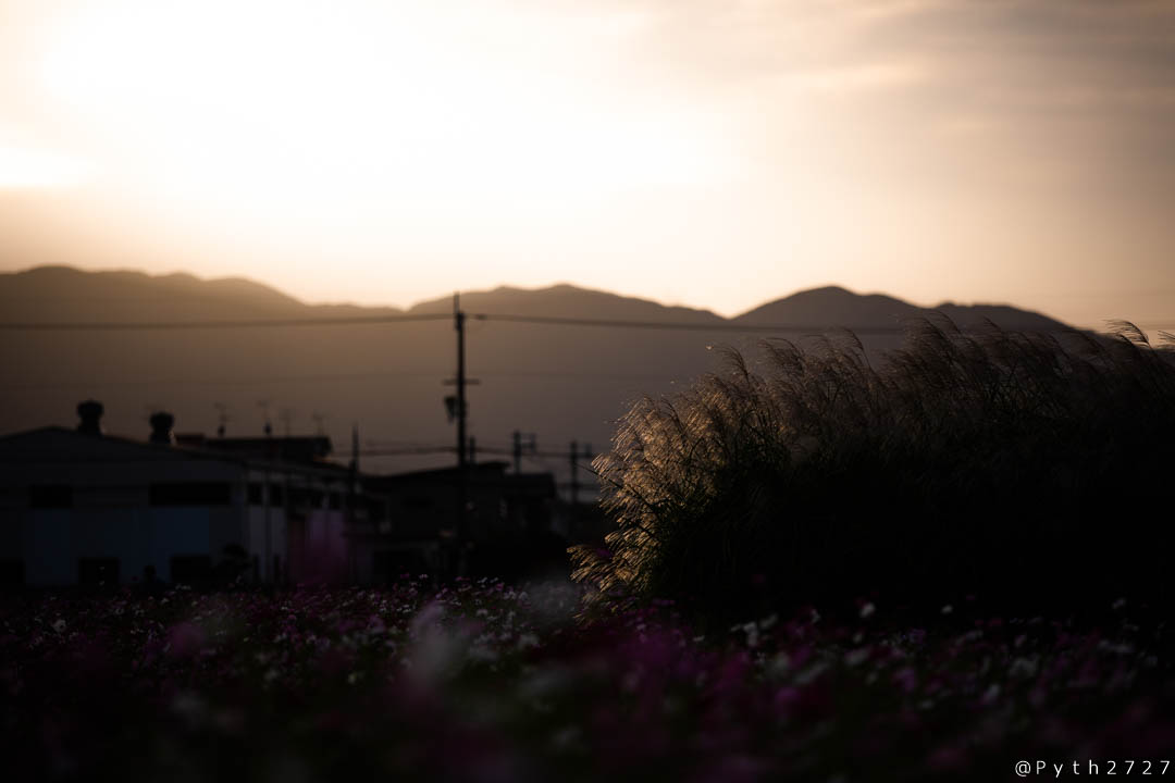 f:id:pyth2727:20191006211628j:plain f:id:pyth2727:20191006211628j:plain
