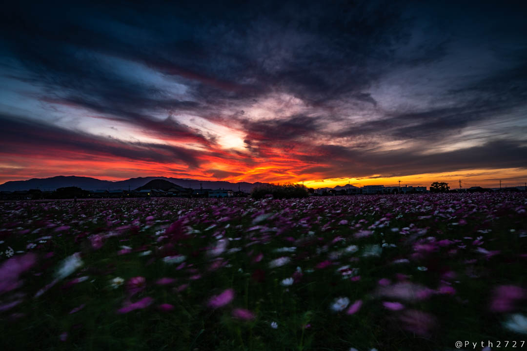 f:id:pyth2727:20191006211654j:plain f:id:pyth2727:20191006211654j:plain
