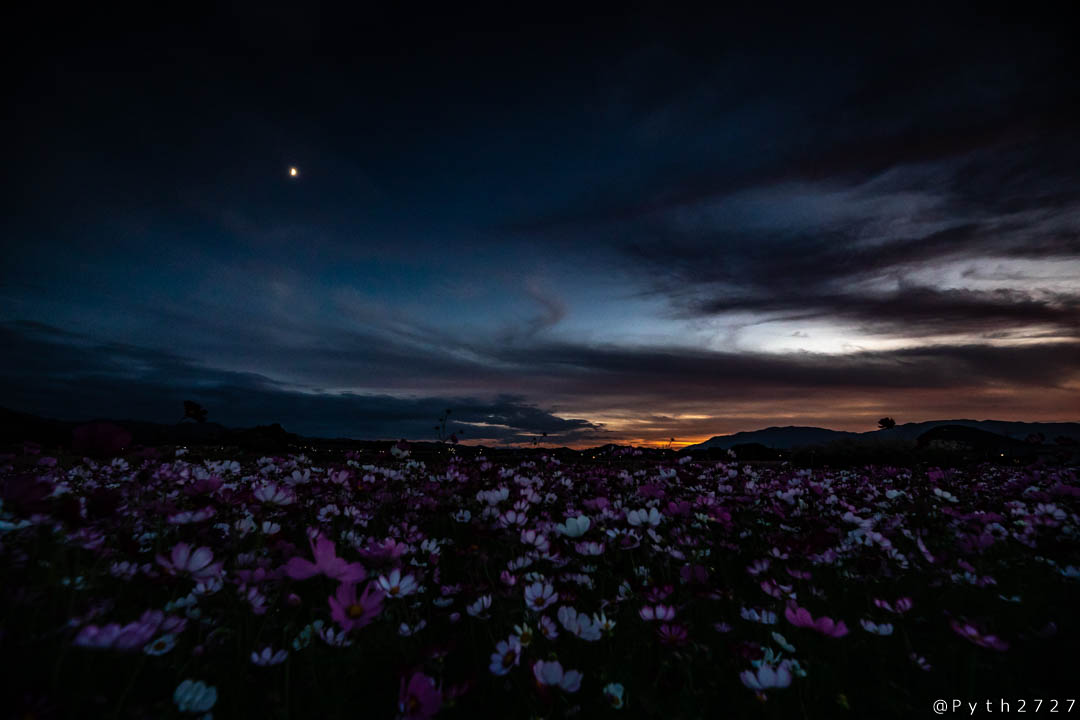 f:id:pyth2727:20191006211658j:plain f:id:pyth2727:20191006211658j:plain