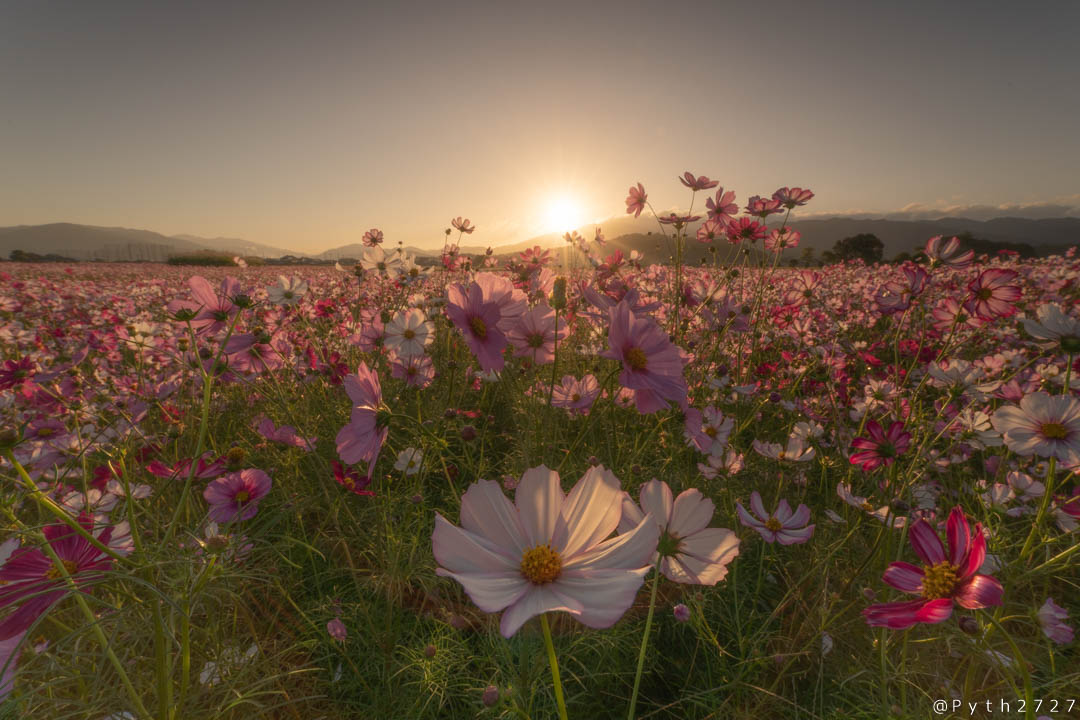 f:id:pyth2727:20191012102714j:plain f:id:pyth2727:20191012102714j:plain