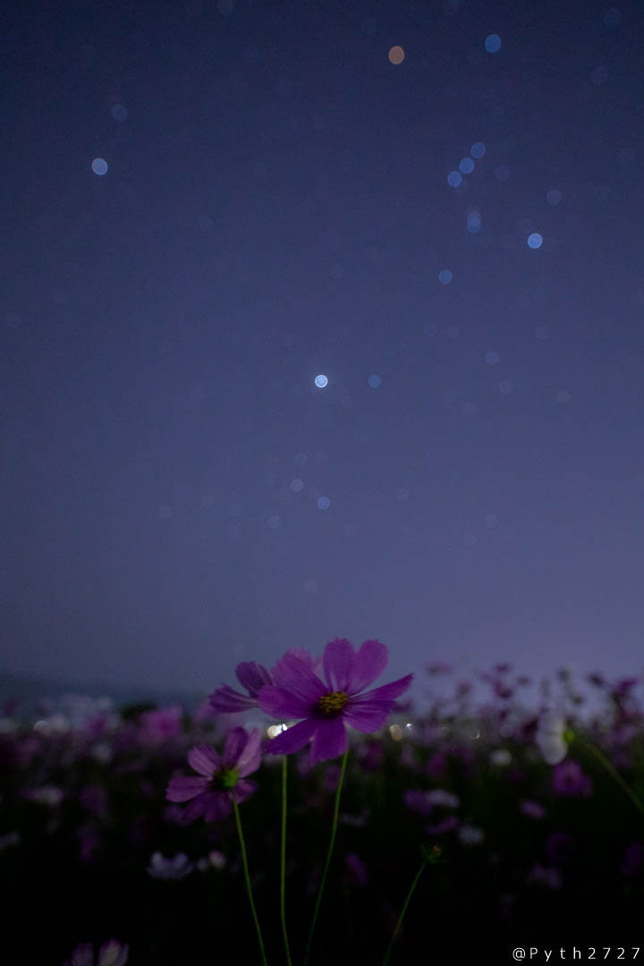 f:id:pyth2727:20191012104920j:plain f:id:pyth2727:20191012104920j:plain